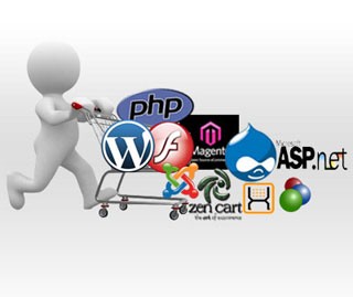 Custom Web Development